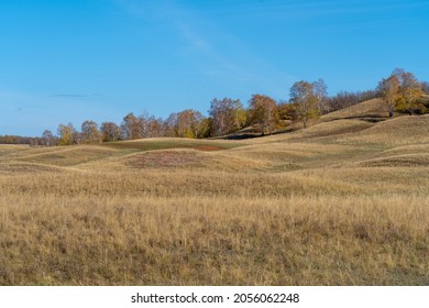 The hills are covered with yellow dry grass in autumn. Trees grow on the hills. Clear blue sky. - Powered by Shutterstock