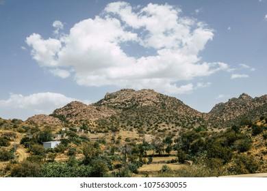 Hills In Desert Covered With Desert Plants 