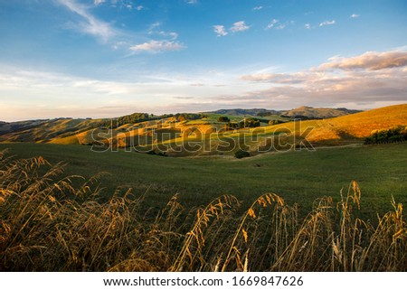 Hills and fields in Te Miro area, Cambridge, New Zealand