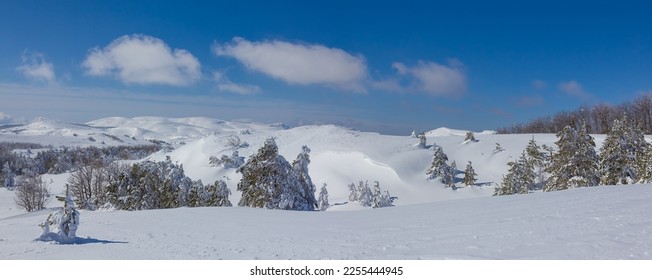 hills with forest in a snow under blue cloudy sky, winter natural seasonal background - Shutterstock ID 2255444945