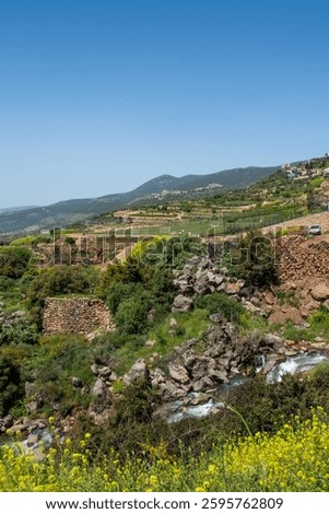 The hills of the Golan Heights during spring with green grass, water streams and sunny skies.