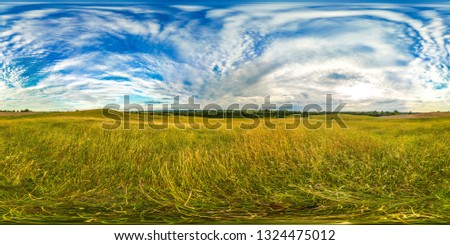 Similar – Image, Stock Photo Harmonious landscape panorama with an expansive meadow of golden yellow wild grasses and a green mixed forest in the background (Germany, midsummer)