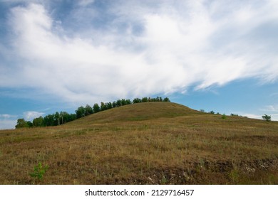 Hills With Tall Yellow Grass And Trees.