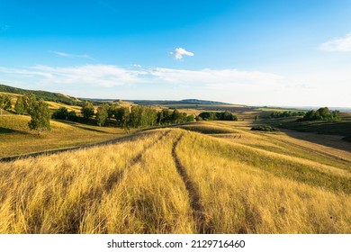 Hills With Tall Yellow Grass And Trees.