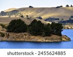 Hills and trees in Otago Harbor, New Zealand