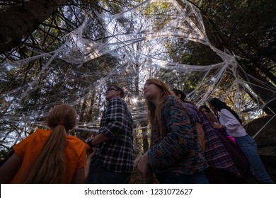 Hillsboro, Oregon \ USA - October 21 2018: Group of people walking by under a giant cobweb in a forest. Halloween Theme
