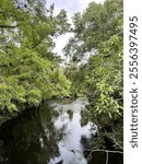 Hillsborough River State Park - Thonotosassa, FL