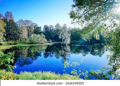 Hillsborough River At Tampa, Florida 