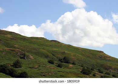 hillside