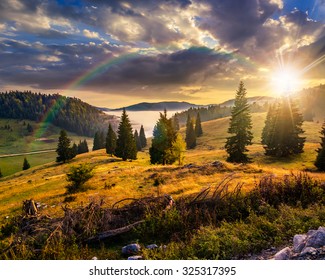 hillside with coniferous forest among the fog on a meadow under the rainbow  in mountains of Romania in evening light