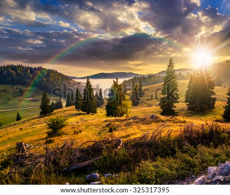 hillside with coniferous forest among the fog on a meadow under the rainbow  in mountains of Romania in evening light