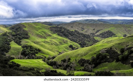 Hillside farmland turned a lush green by winter rains on California's Central Coast, - Powered by Shutterstock