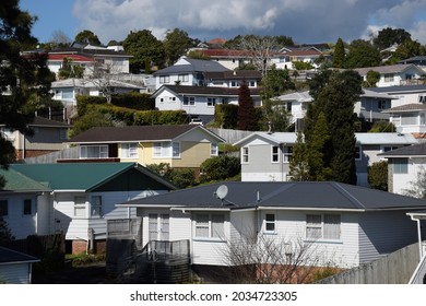 A hillside of houses in a neighbourhood in Beach Haven, Auckland, New Zealand - Shutterstock ID 2034723305