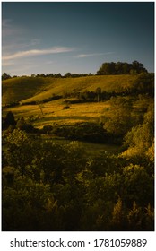 Hillside In Northern Kentucky On An Early Summer Morning