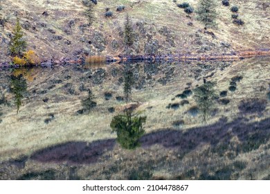 The Hillside Reflected In The Iron Gate Dam Reservoir Near Hornbrook, California, USA