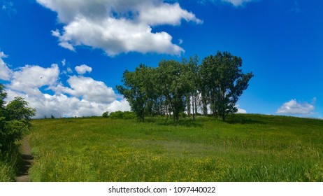 hillside trees under the sky