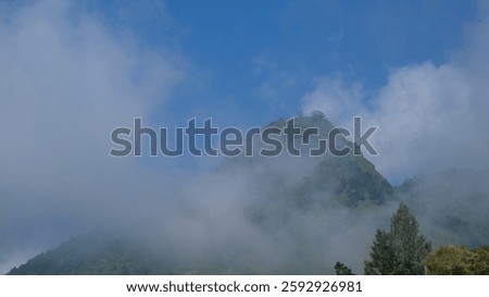 Hilltop covered in white mist.Copy space for text.Ecology and environment concept.For graphic design,3D design and banner background