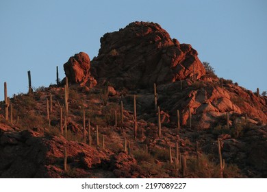 Hilltop Lit Up By The Morning Sun Located In The Tucson Mountains.