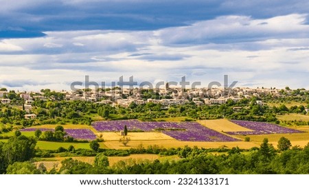 Hilltop Puimoisson village in France. Summer Provence landscape with purple lavender fields. Plateau Valensole, Alpes de Haute Provence. Stok fotoğraf © 