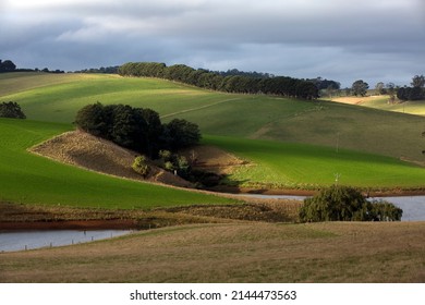 Hilly Farming Landscape Near Trafalgar In The Foothills Of The Strzelecki Ranges, West Gippsland Rural Victoria, Australia.