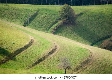 Hilly farmland pasture with erosion prevention swales cut around nose of ridge - Shutterstock ID 427904074