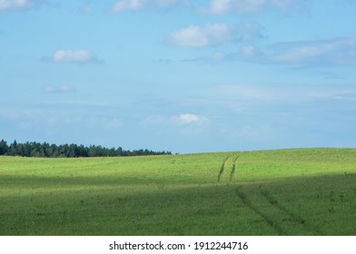 A Hilly Field With Fresh Green Grass. Wheel Tracks Lead Across The Grass To The Horizon. Blue Sky With Sparse Clouds And Forest On The Background. Beautiful Summer Landscape.