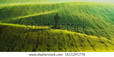 Similar – Baum von oben Natur