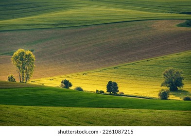 Hilly field. Spring dawn in the field. Quiet morning in a picturesque field. Natural texture. Picturesque abstract landscape