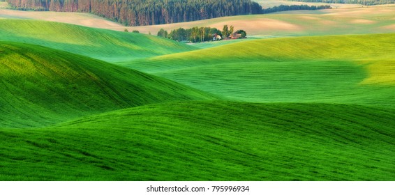 Stair Rice Field Rice Terrace Beautiful Stock Photo 1542422057 