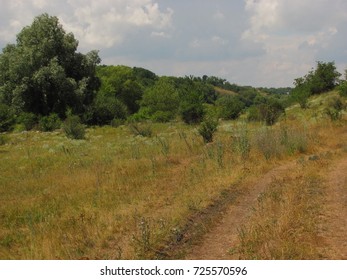
hilly landscape