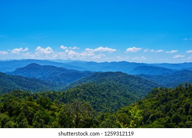 Hilly landscape in a blue haze to the horizon. Spectacular view a cloudy sky and lush tropical rainforest Cameron Highlands, Malaysia. Concept of travel and holiday.