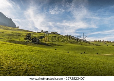 Hilly landscape with farm houses, green meadows and pastures in the Toggenburg Valley, Nesslau, Canton St. Gallen, Switzerland