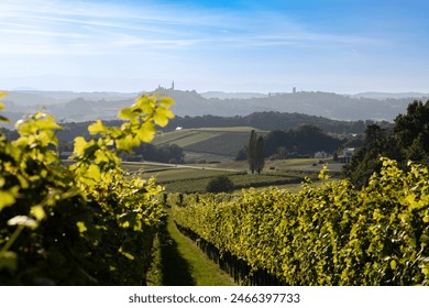 Hilly landscape with vineyards in Austria - Powered by Shutterstock
