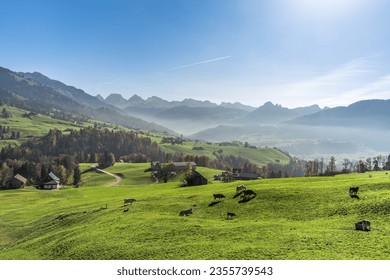 Hilly mountain landscape in the Toggenburg with farms and grazing cows, view to the Churfirsten mountain range, Ennetbuehl, Canton St. Gallen, Switzerland - Powered by Shutterstock