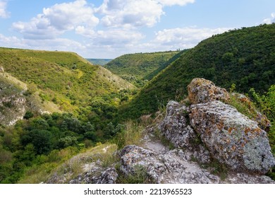 The Hilly Nature Of Eastern Europe. Background With Copy Space For Text Or Inscriptions, Toned