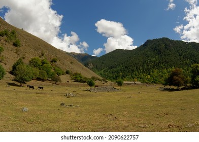 Hilly pastures in the Jamagat gorge. Karachay-Cherkessia, Russia