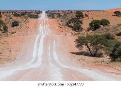 Hilly Straight Gravel Road Through The Red Dunes Of The Kalahari Dessert In Namibia