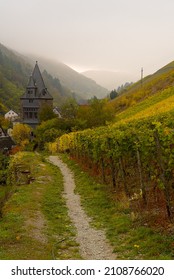 A Hilly Vineyard Landscape And A Tower In The Middle Ground On A Misty Day