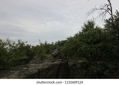 hils with forest in between