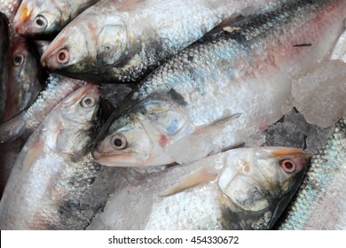 735 Hilsa fish Stock Photos, Images & Photography | Shutterstock