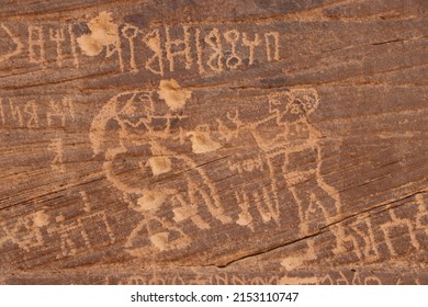 Hima Rock Art - Najran - Saudi Arabia