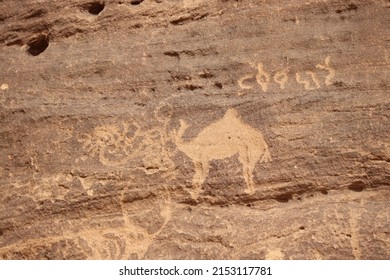 Hima Rock Art - Najran - Saudi Arabia