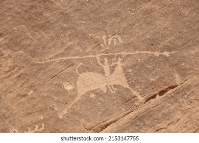 Hima Rock Art - Najran - Saudi Arabia