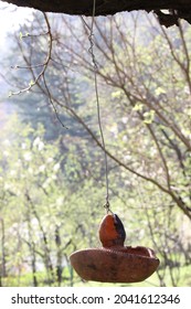 Himachal Pradesh Near Great Himalayan National Park