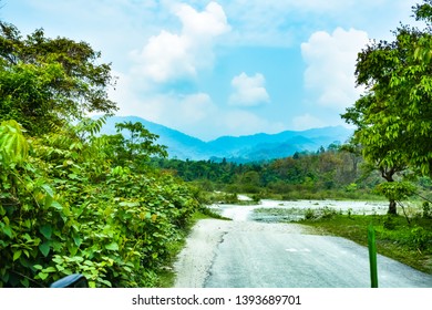 Himalayan foothills in West Bengal - Shutterstock ID 1393689701