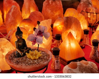 Himalayan Mineral Salt Lamps For Wellness Selective Focus Turin Italy March 4 2019