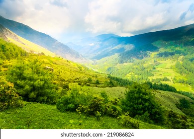 Himalayan Mountains And Rice Field, Nepal