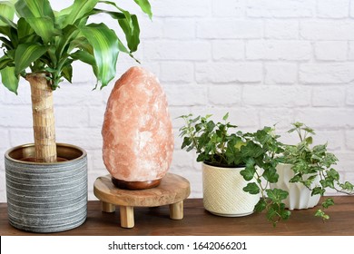 Himalayan Salt Lamps Which Can Boost Mood, Improve Sleep, Ease Allergies,reduce Anxiety And Clean The Air. Natural Interior Decoration. 