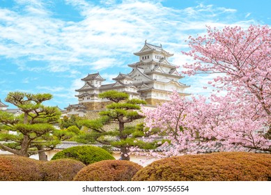 Himeji Castle with beautiful cherry blossom