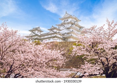Himeji Castle with beautiful cherry blossom in kinki, japan